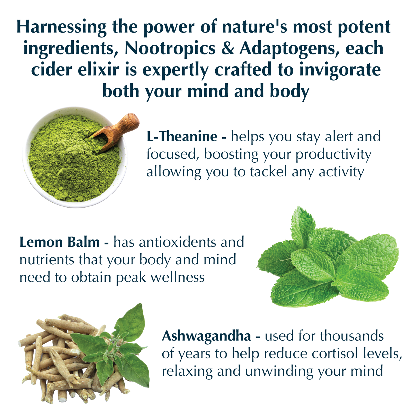 LUNA Variety Pack Nootropic + Adaptogen Non-Alcoholic Cider 12oz Can - 12 Pack