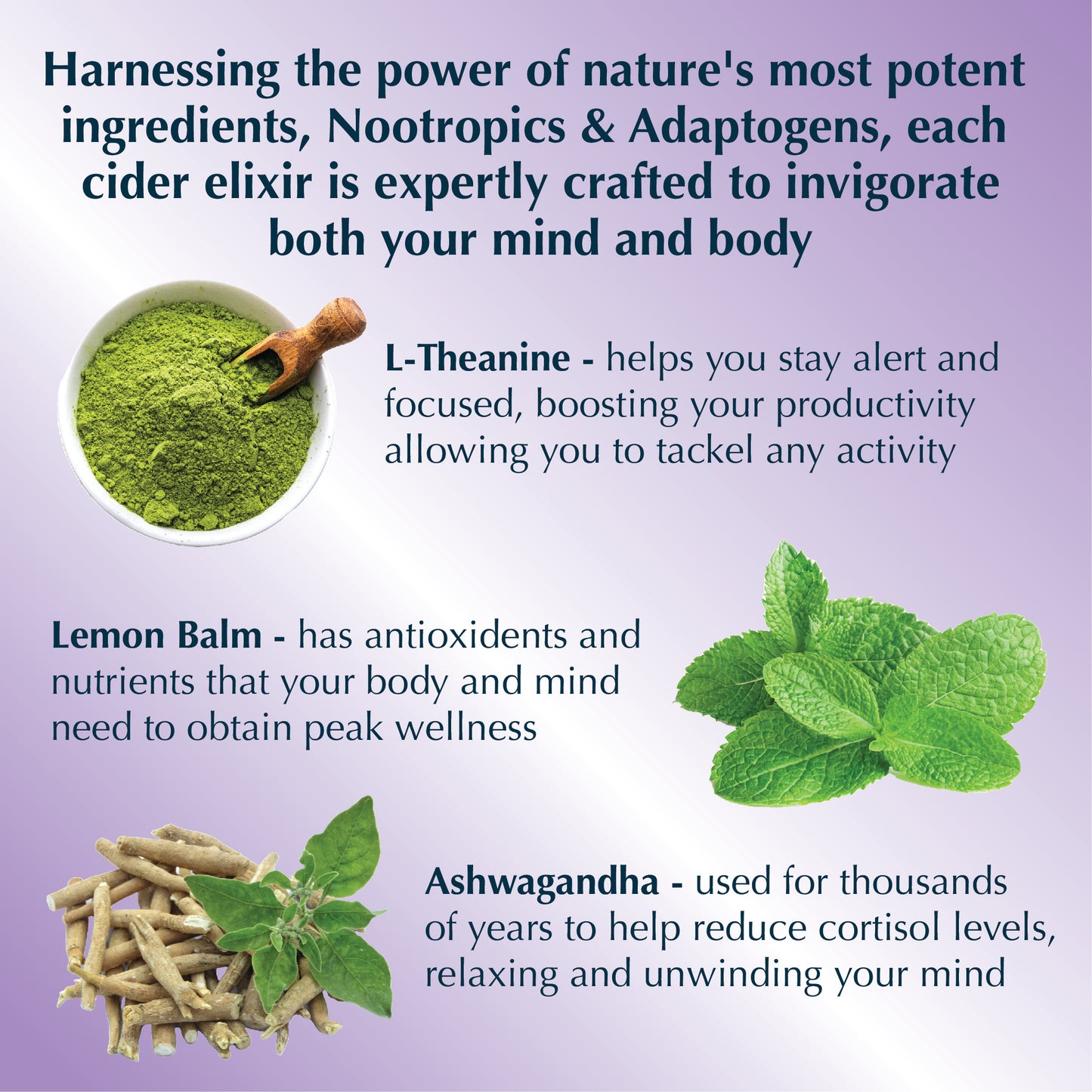 LUNA Wild Berry Nootropic + Adaptogen Non-Alcoholic Cider 12oz Can - 12 Pack