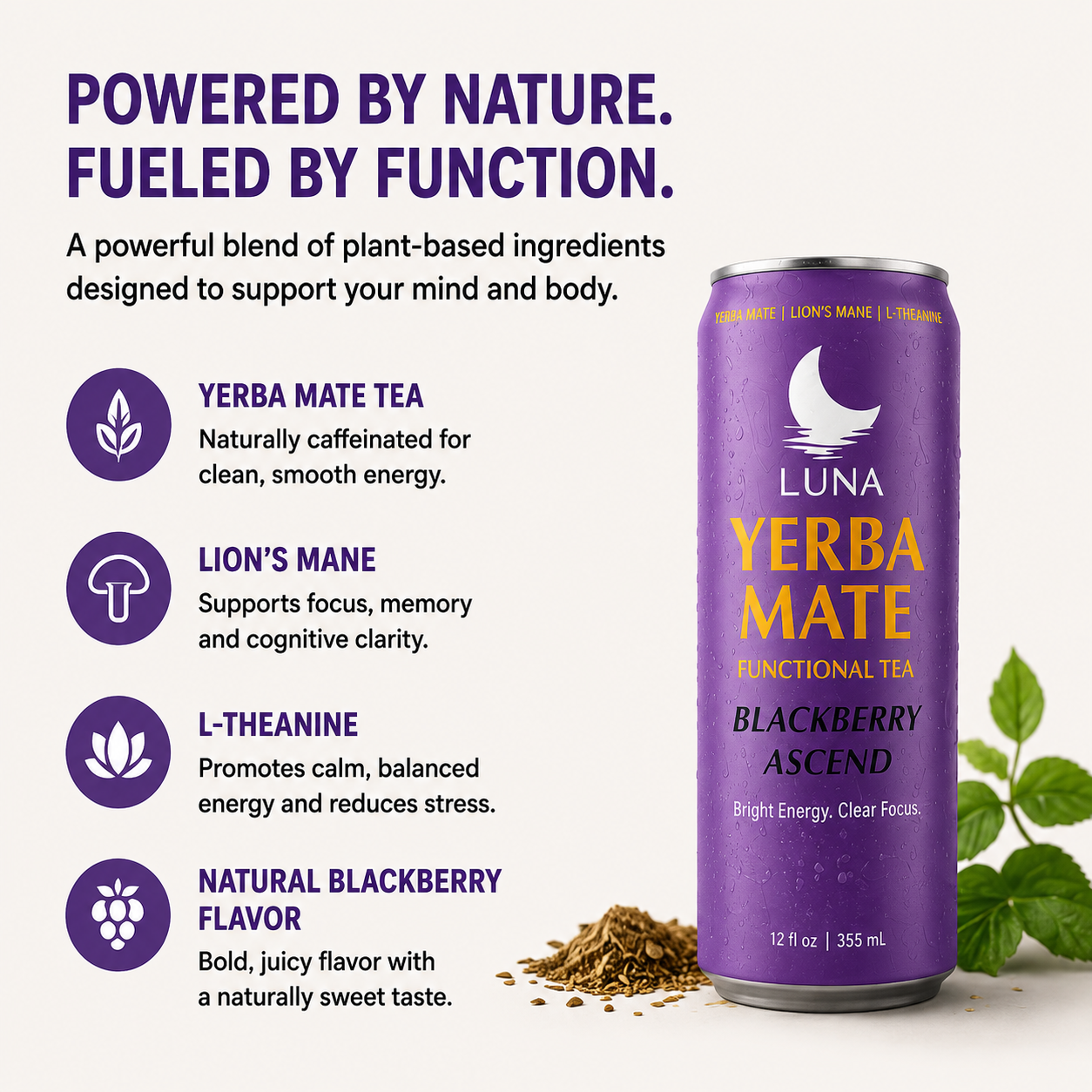 LUNA Blackberry Ascent Yerba Mate Tea Infused with Lion's Mane and Nootroipics