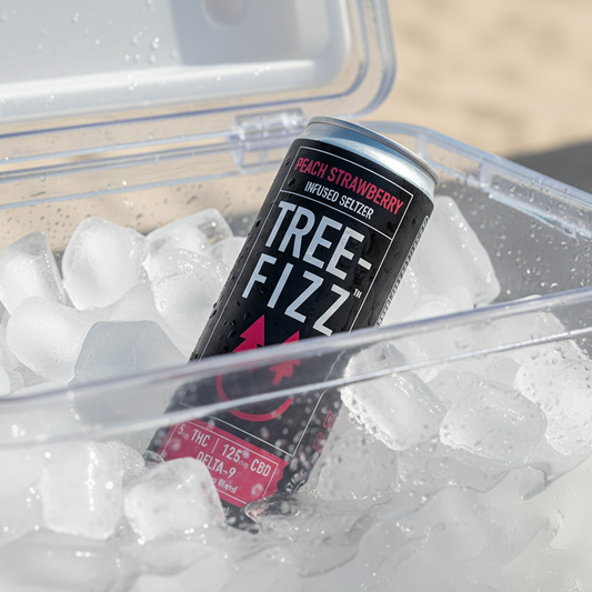 Tree-Fizz Peach Strawberry Hemp-Derived Delta-9 Seltzer Bucket of Ice